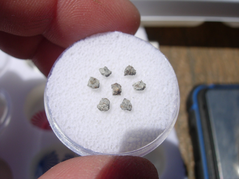 .100 grams 7 Carancas Meteorites Ordinary Chondrite (H4-5)  fragments with a COA