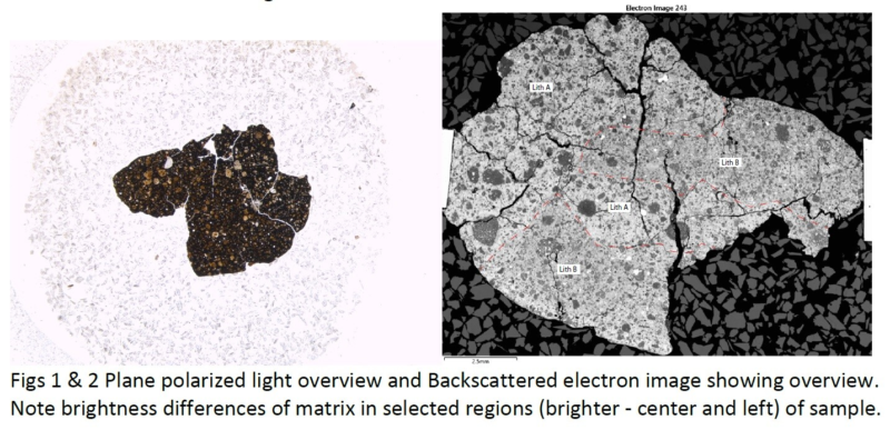 Meteorite NWA 16476 - Carbonaceous : C2-Ungrouped