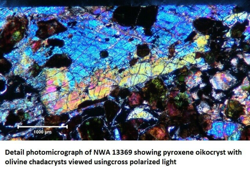 Martian Meteorite NWA 13369 - Poikilitic Shergottite (Peridotitic)