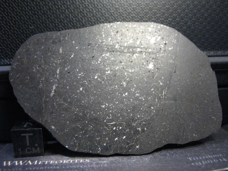 Meteorite NWA 10075 - Vacuolar black L5 - Full slice with Melt