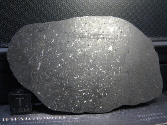 Meteorite NWA 10075 - Vacuolar black L5 - Full slice with Melt