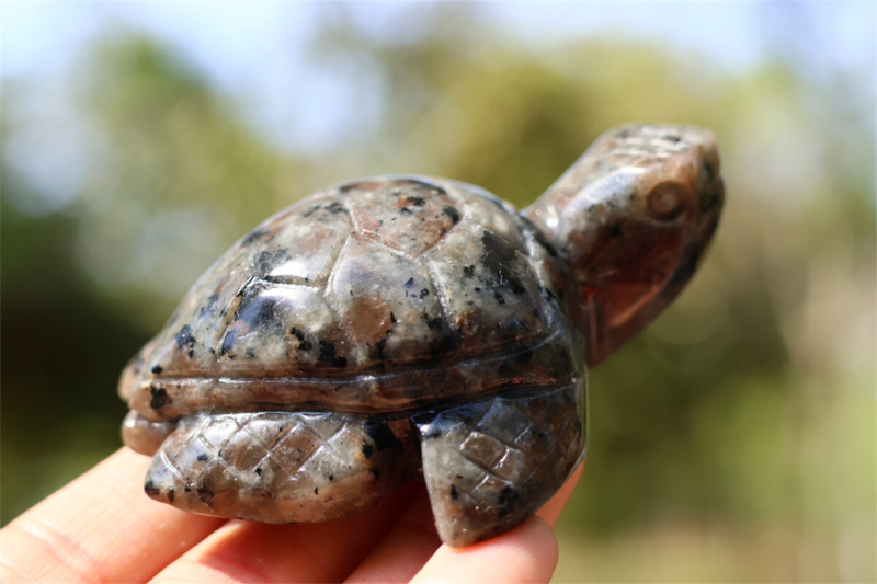 2&apos;&apos; Carved Natural Yooperlite sea Turtle Reiki Quartz Crystal Skull Healing 1pc