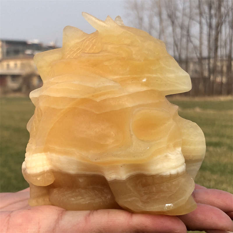 600g Natural carved geodes stone dragon Skull Reiki crystal skull decor crystal
