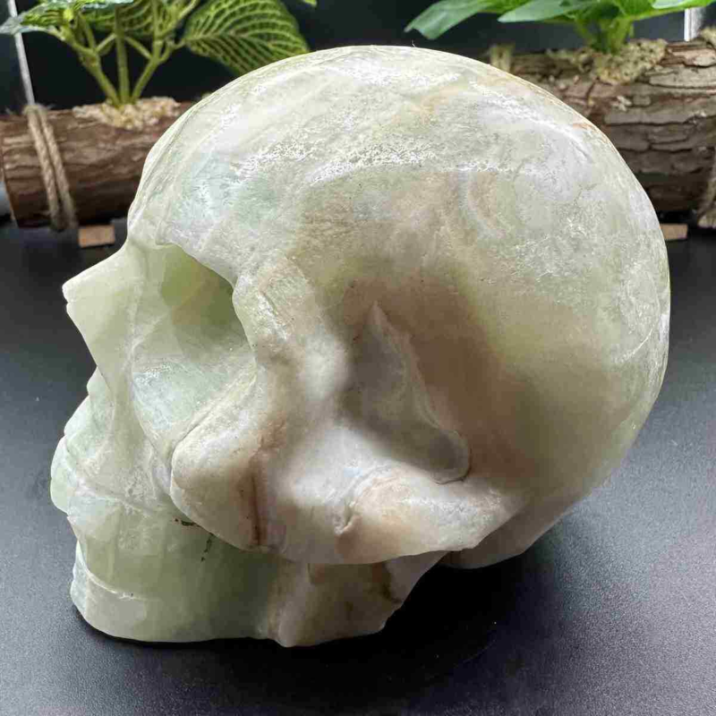 1545g natural Caribbean calcite hand carved skull quartz crystal healing decor