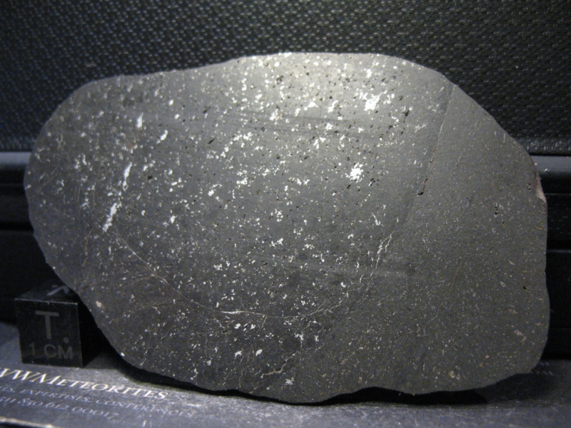 Meteorite NWA 10075 - Vacuolar black L5 - Full slice with Melt