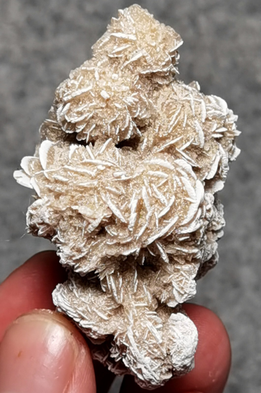 45 Gram Gypsum Selenium Stone Rose Adenium Obesum Sand Rose Namibia Desert