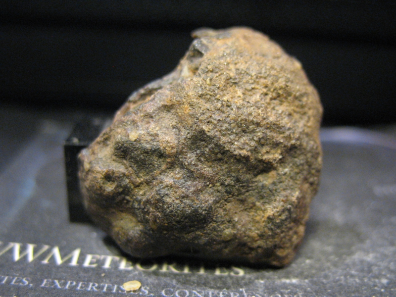 Meteorite NWA 15997 - Pallasite