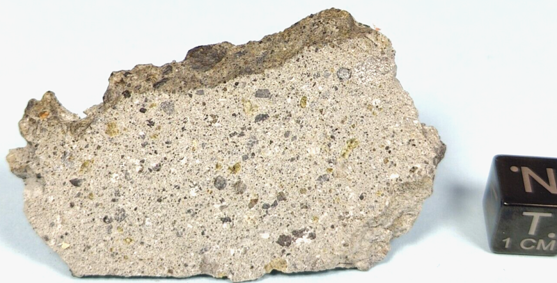12.26 GR. CRUSTED SLICE of NWA 16087 ACHONDRITE HOWARDITE METEORITE HED GROUP