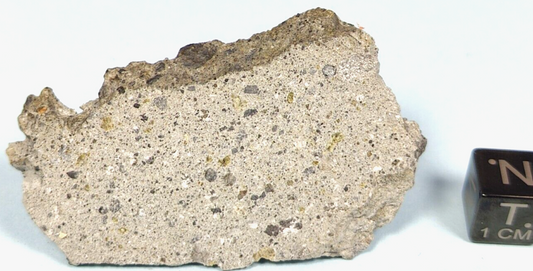 12.26 GR. CRUSTED SLICE of NWA 16087 ACHONDRITE HOWARDITE METEORITE HED GROUP