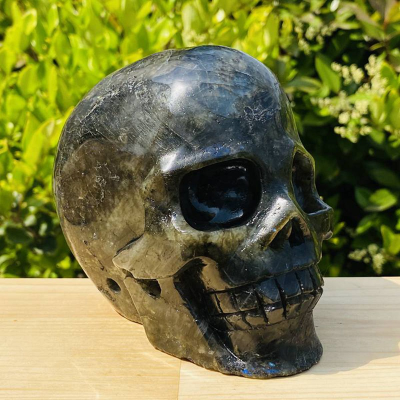 1531g Natural Beantiful Fluorite Quartz Skull Hand Carved Crystal Healing Skull