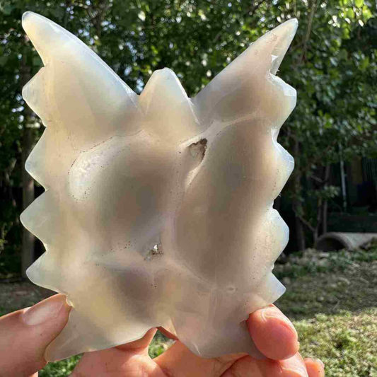 150g natural agate hand carved butterfly skull quartz crystal cluster reiki