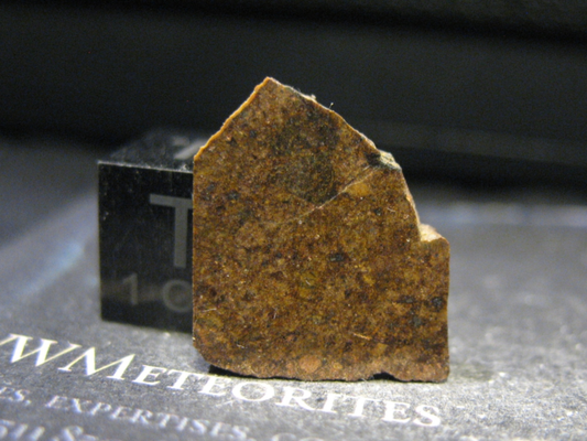 Meteorite NWA 14103 - Chondrite LL7 - Recrystallized with triple junctions