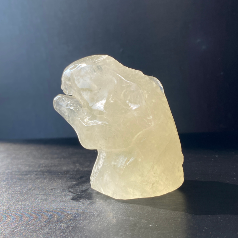 102Gram Natural Citrine Quartz Hand Carved Crystal Dinosaur Skull Healing