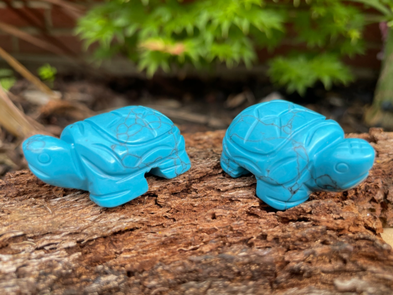 Tortoise Hand Carved Gemstone Figurine | Crystal Turtle | Crystal Healing Animal
