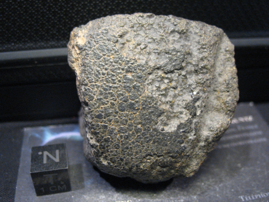 Meteorite NWA 16388 (CC) - Recrystallized Coarse Matrix - CK6 - MAIN MASS