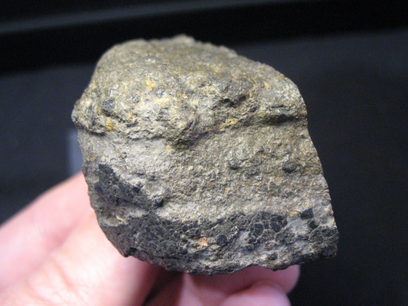 Meteorite NWA 16388 (CC) - Recrystallized Coarse Matrix - CK6 - MAIN MASS