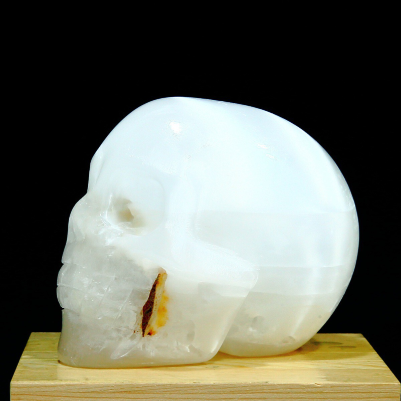 1606g Natural White Selenite Hand Carved Crystal Skull Quartz Meditation Medium