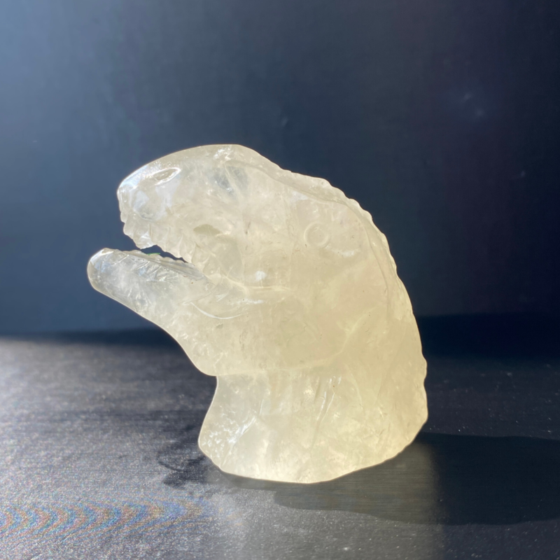 102Gram Natural Citrine Quartz Hand Carved Crystal Dinosaur Skull Healing