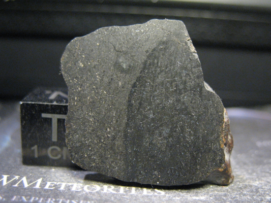 Meteorite NWA 13159 : L6-MeltBreccia... Big melt veins + Chondritic host clasts