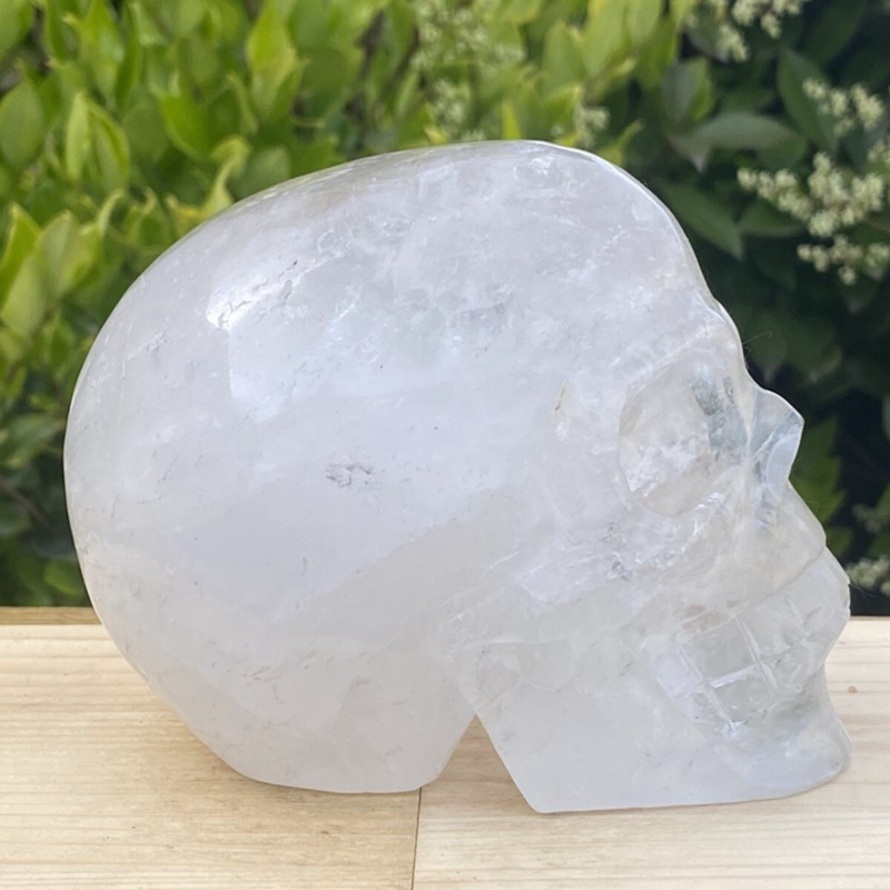 1440g Natural Beantiful Fluorite Quartz Skull Hand Carved Crystal Healing Skull
