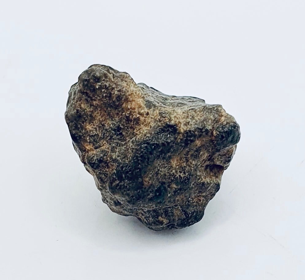 Lunar meteorite Achondrite - Height: 16 mm - Width: 11 mm - 3.1 g - (1)