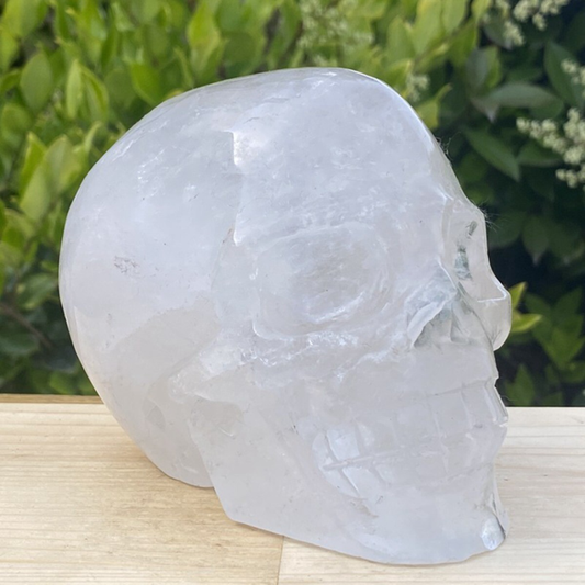 1440g Natural Beantiful Fluorite Quartz Skull Hand Carved Crystal Healing Skull