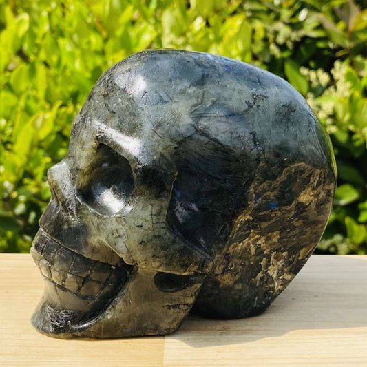 1312g Natural Beantiful Fluorite Quartz Skull Hand Carved Crystal Healing Skull