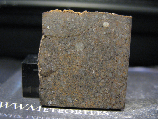 Meteorites NWA 14811 - Spherulite Meteorites H4 - Spherulite Apparent Diameter 680±340 Micron