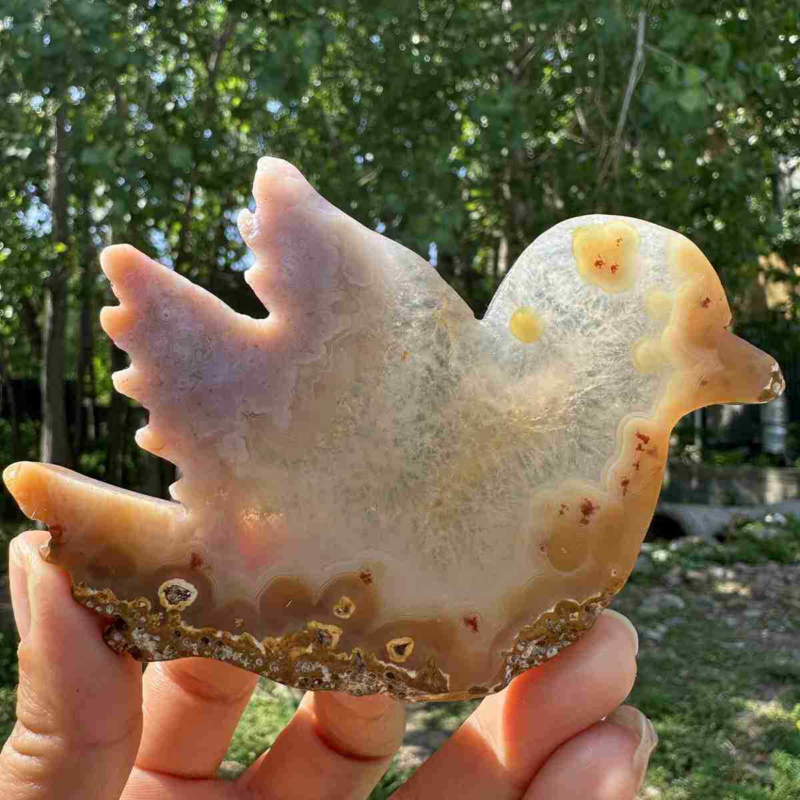 130g natural agate hand carved bird skull quartz crystal cluster reiki