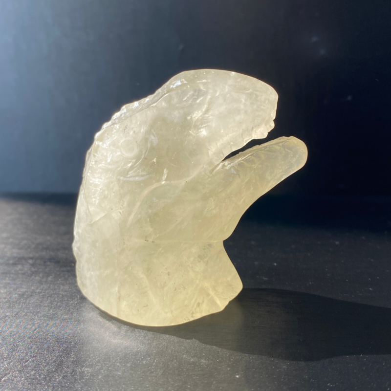102Gram Natural Citrine Quartz Hand Carved Crystal Dinosaur Skull Healing