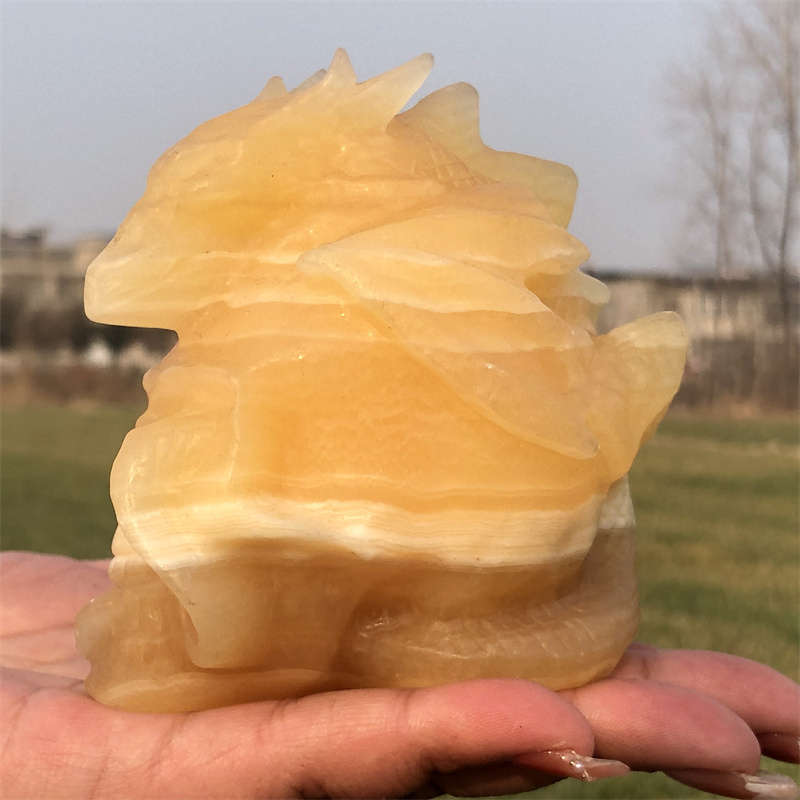 600g Natural carved geodes stone dragon Skull Reiki crystal skull decor crystal