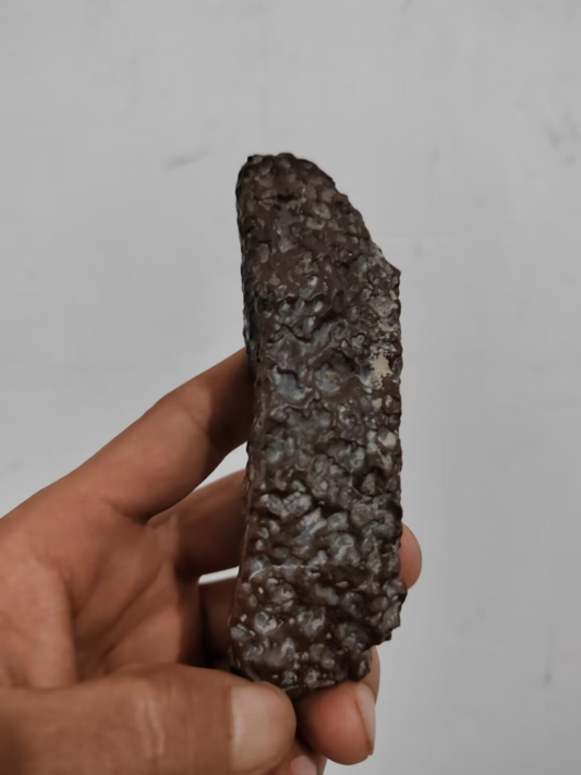 A216 Lunar meteorites are meteorites from the universe 134.1g