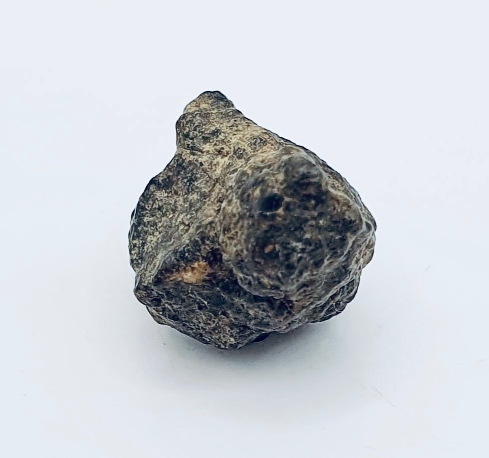 Lunar meteorite Achondrite - Height: 16 mm - Width: 11 mm - 3.1 g - (1)