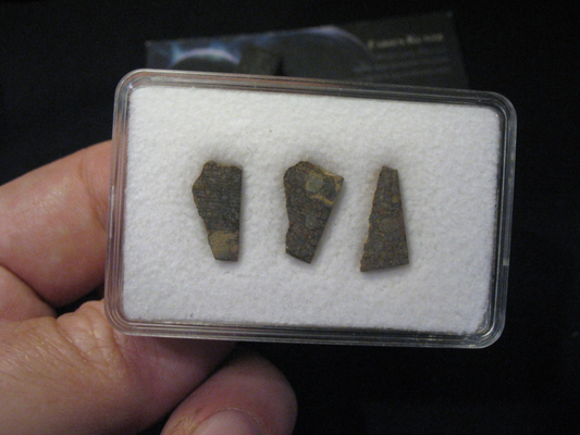 Meteorite NWA 12581 - Very Primitive Chondrite - LL3.10 (one of six classified)