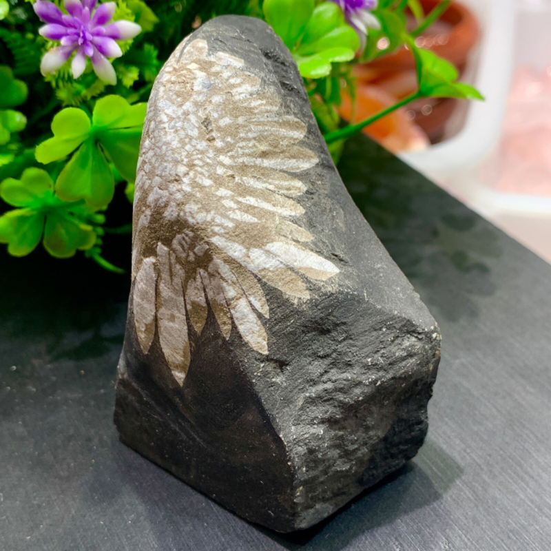 240g Natural Gems Chrysanthemum Crystal Palm Stone Materials Energy Specimen