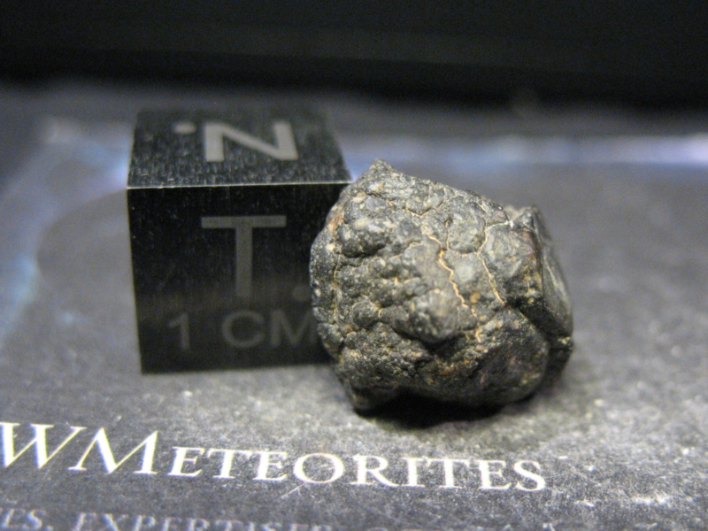 Meteorite NWA 16476 - Carbonaceous : C2-Ungrouped
