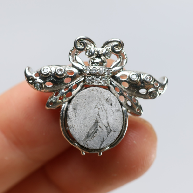 Muonionalusta meteorite Necklace pendant，Butterfly Pendant R1416