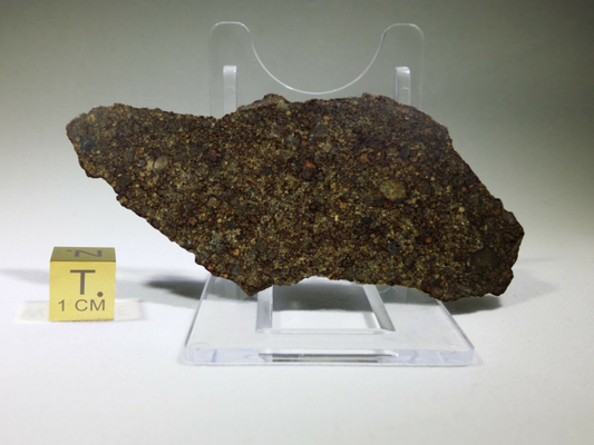 NWA 8366 (a) Full Slice Meteorite