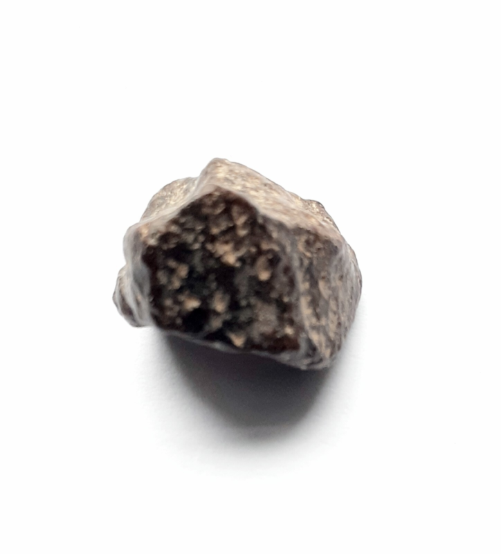 Meteorite rock, NWA L-4-6 Breccia, North Africa