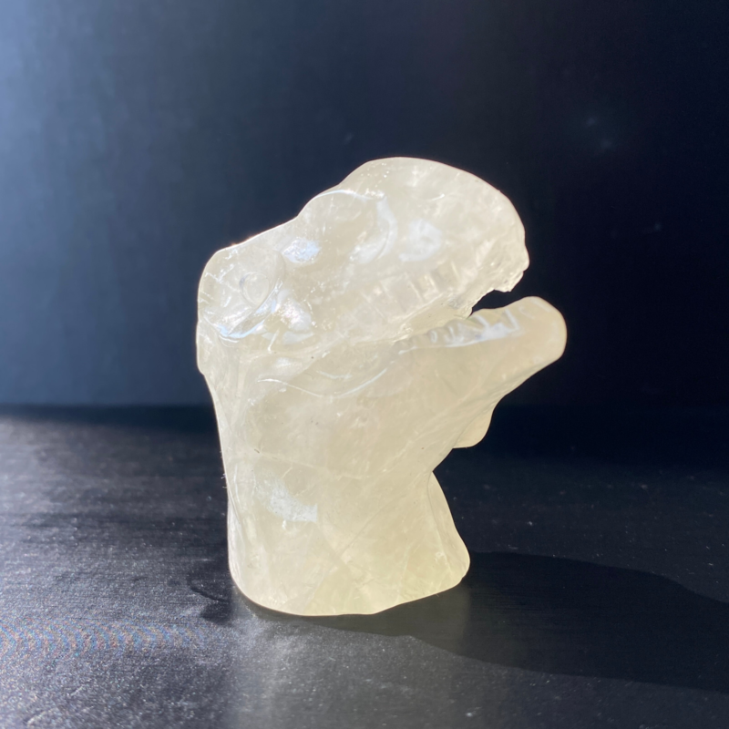 102Gram Natural Citrine Quartz Hand Carved Crystal Dinosaur Skull Healing
