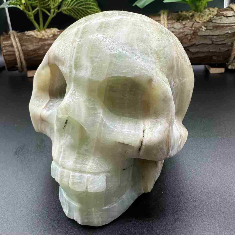 1545g natural Caribbean calcite hand carved skull quartz crystal healing decor