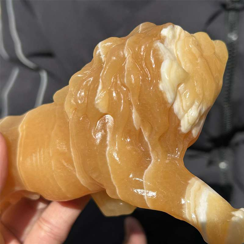 0.56kg Natural yellow calcite lion skull carved Quartz Crystal skull Healing