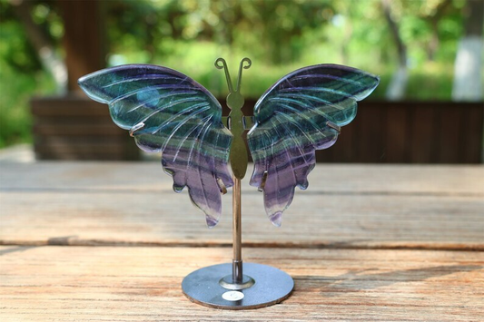 5.2&apos;&apos; A pair Natural Fluorite Butterfly Wing Reiki Crystal Skull Decor + Stand