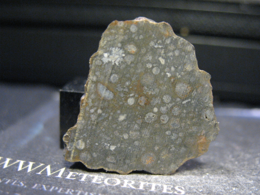 Meteorite NWA 10305 - Carbonaceous chondrite, CAI rich - CV3