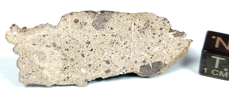 6.6 GR. CRUSTED SLICE of NWA 16087 ACHONDRITE HOWARDITE METEORITE HED GROUP