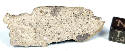 6.6 GR. CRUSTED SLICE of NWA 16087 ACHONDRITE HOWARDITE METEORITE HED GROUP