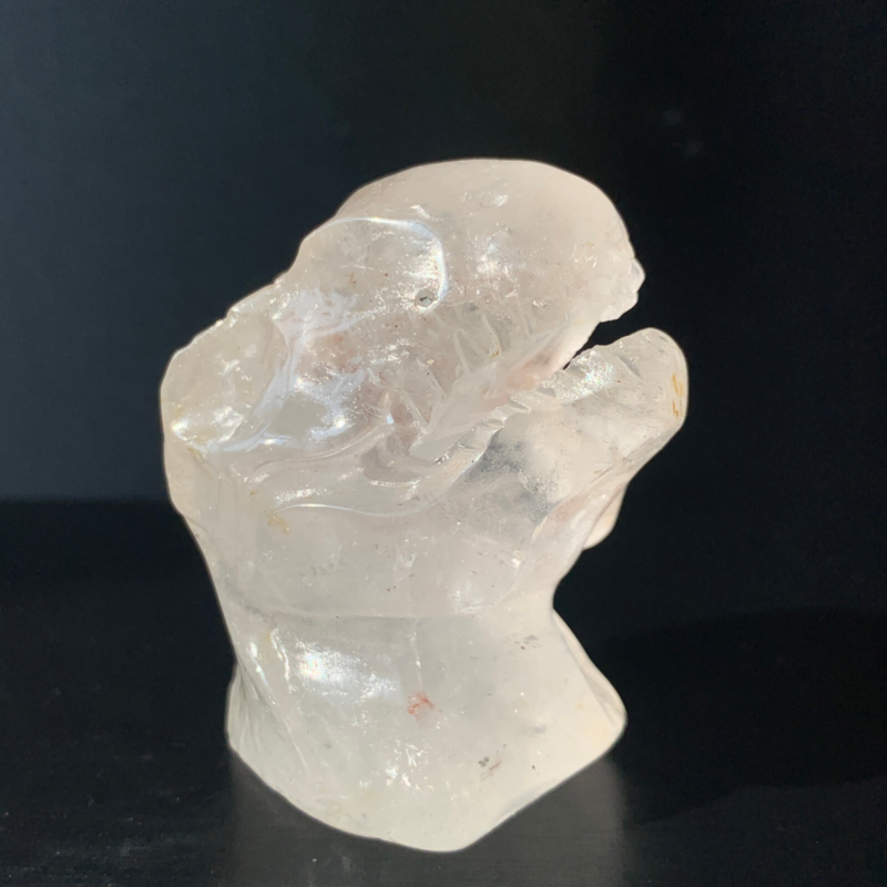 1Natural Transparent Quartz Quartz Hand Carved Crystal Dinosaur Skull Healing