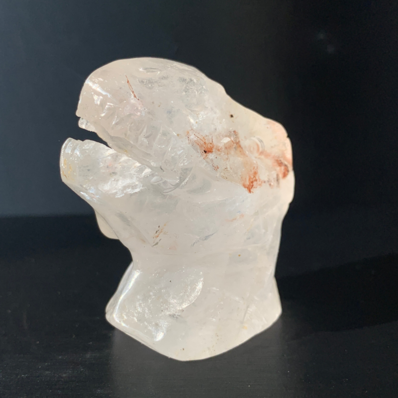 1Natural Transparent Quartz Quartz Hand Carved Crystal Dinosaur Skull Healing