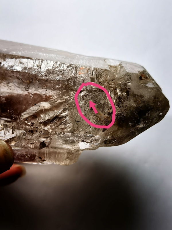 Tibetan Clear Crystal Quartz Point w 3 Visible Moving Bubbles Enhydro  4.64 in