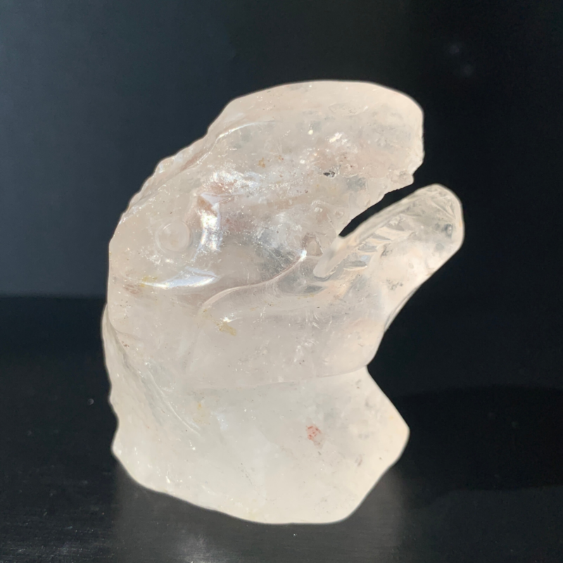 1Natural Transparent Quartz Quartz Hand Carved Crystal Dinosaur Skull Healing